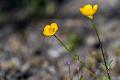 2019_05_26 (0009)